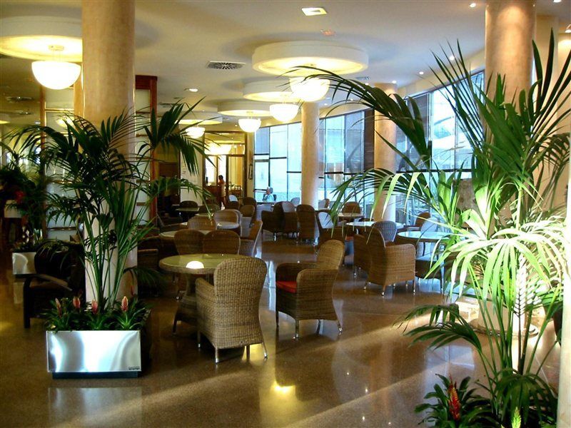 Hotel Europe Playa Marina - Adults Only